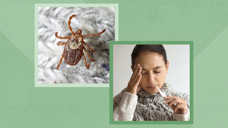 Ticks and Tick-borne Diseases