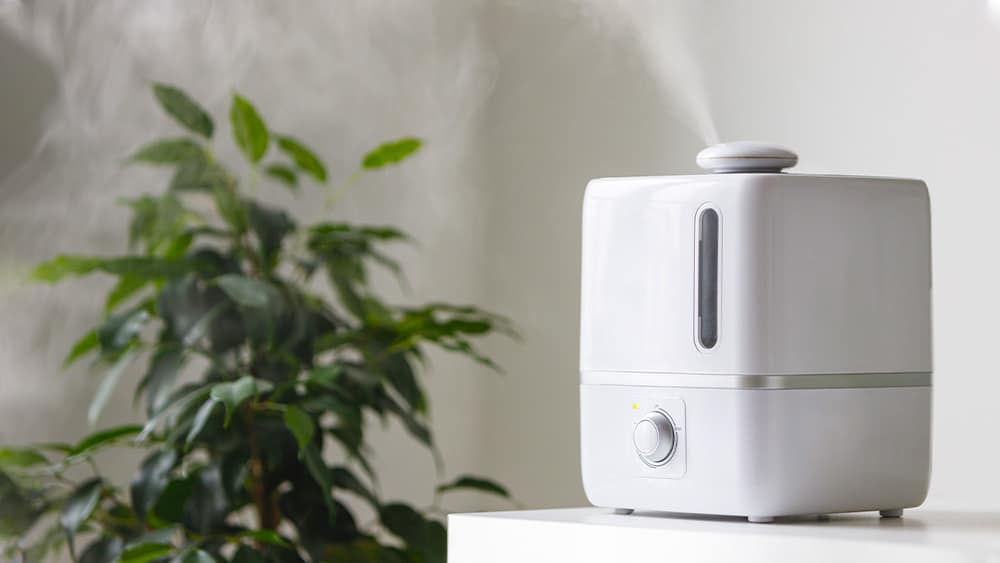 Can a Humidifier Help Your Atopic Dermatitis?