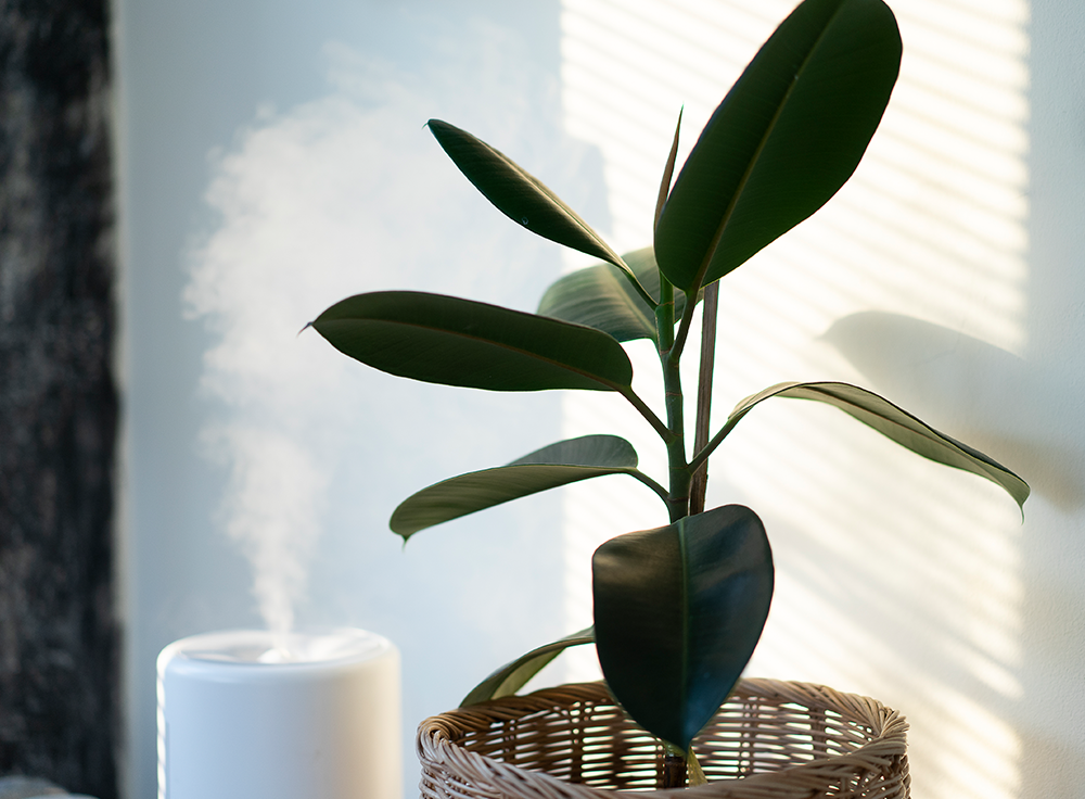 Can a Humidifier Help Your Atopic Dermatitis?